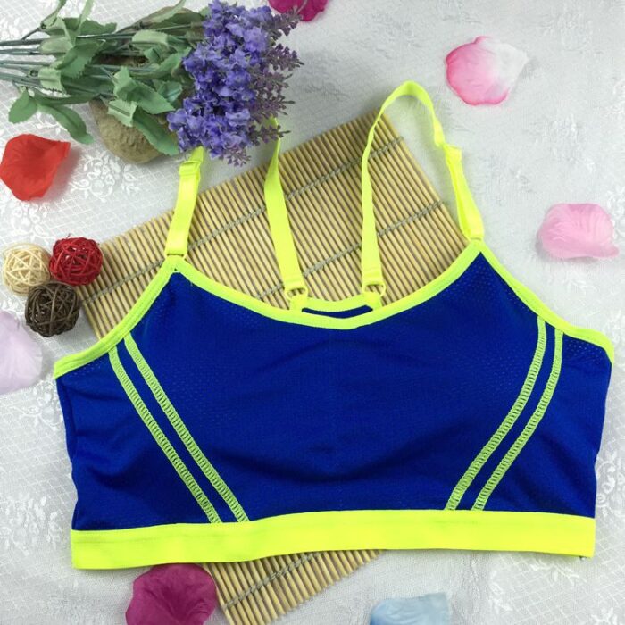 Girls Breathable Sports Running Gym Striped Push Up Seamless Padded  Wirefree Shakeproof Bra - Dropshipper & Wholesaler in Pakistan with Largest  Inventory & Products Range - Biggest Platform for Resellers