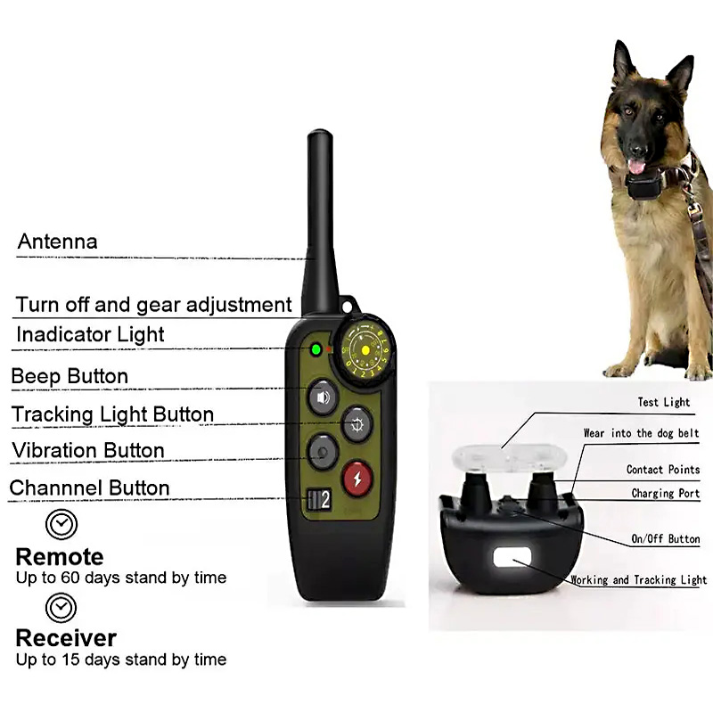 3355025587_w640_h640_3355025587