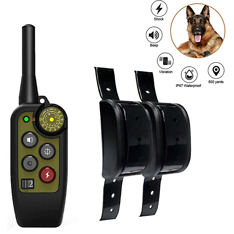 WhatsApp Image 2026-01-28 at 8.59.05 PM