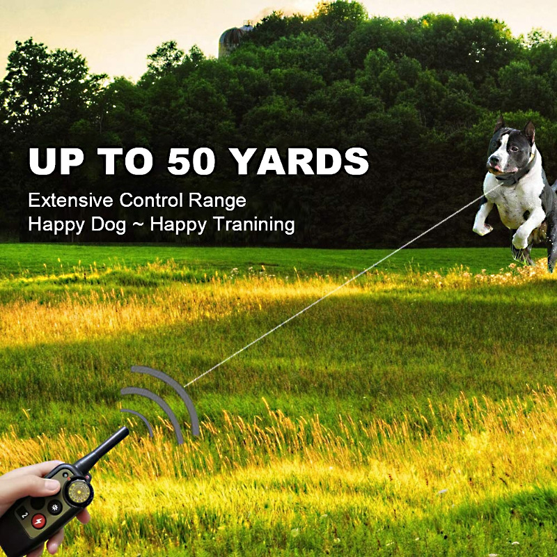 imgi_78_d1b81a28b20c5d7f68b842091b479331